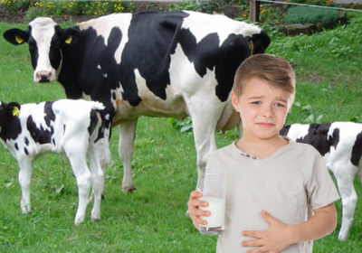 ¿Es la leche animal adecuada para el consumo humano?